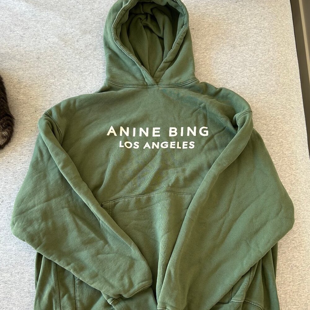 Anine Bing Hoodie